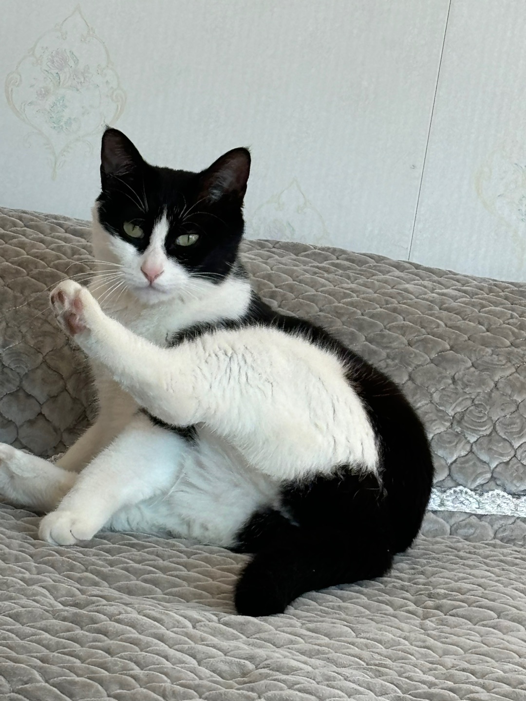 (*´▽｀)ノノ(^-^)/(*´▽｀)ノノHi~ o(*￣▽￣*)ブ