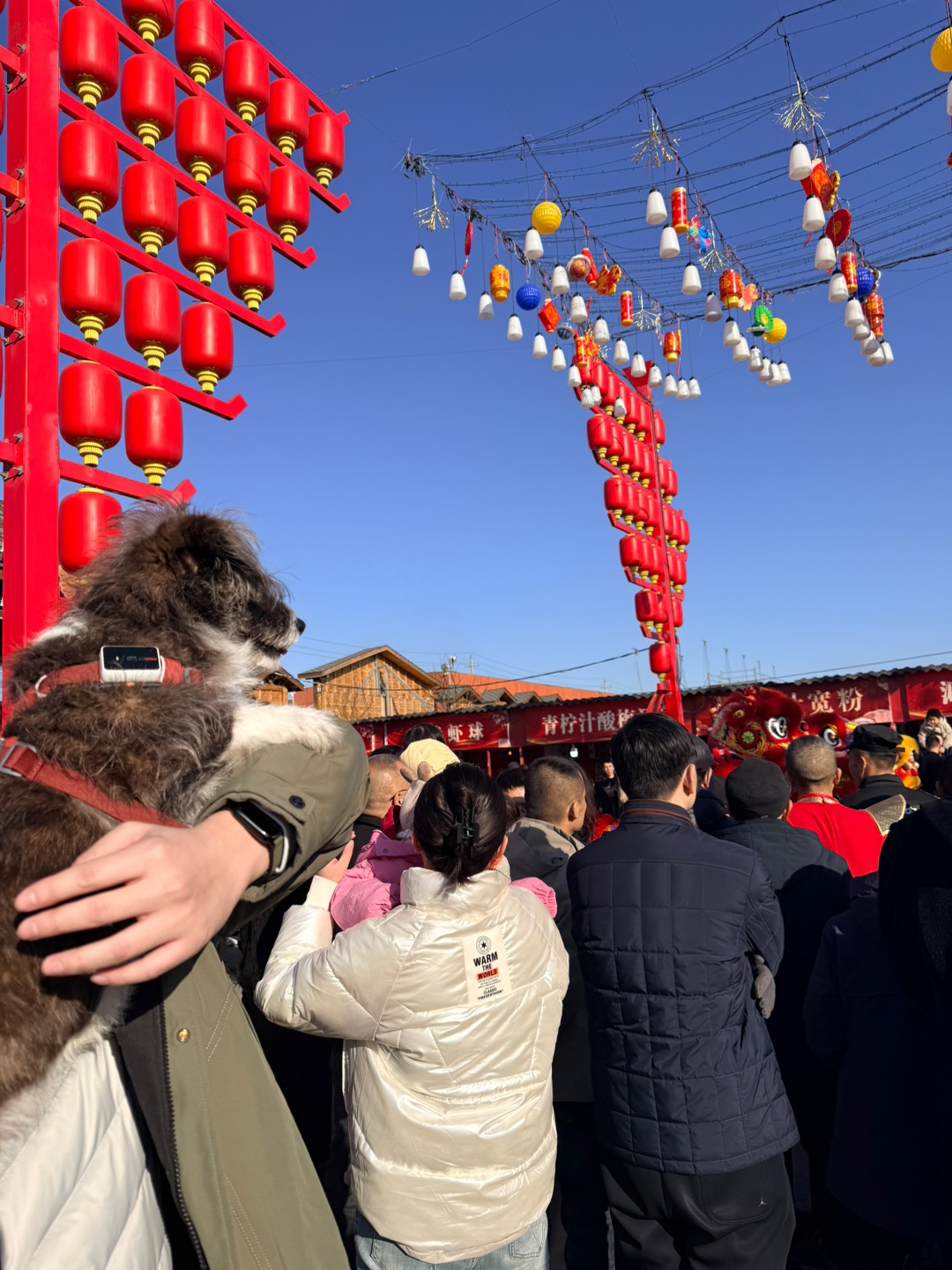 过年和爸爸妈妈一起去看舞龙啦