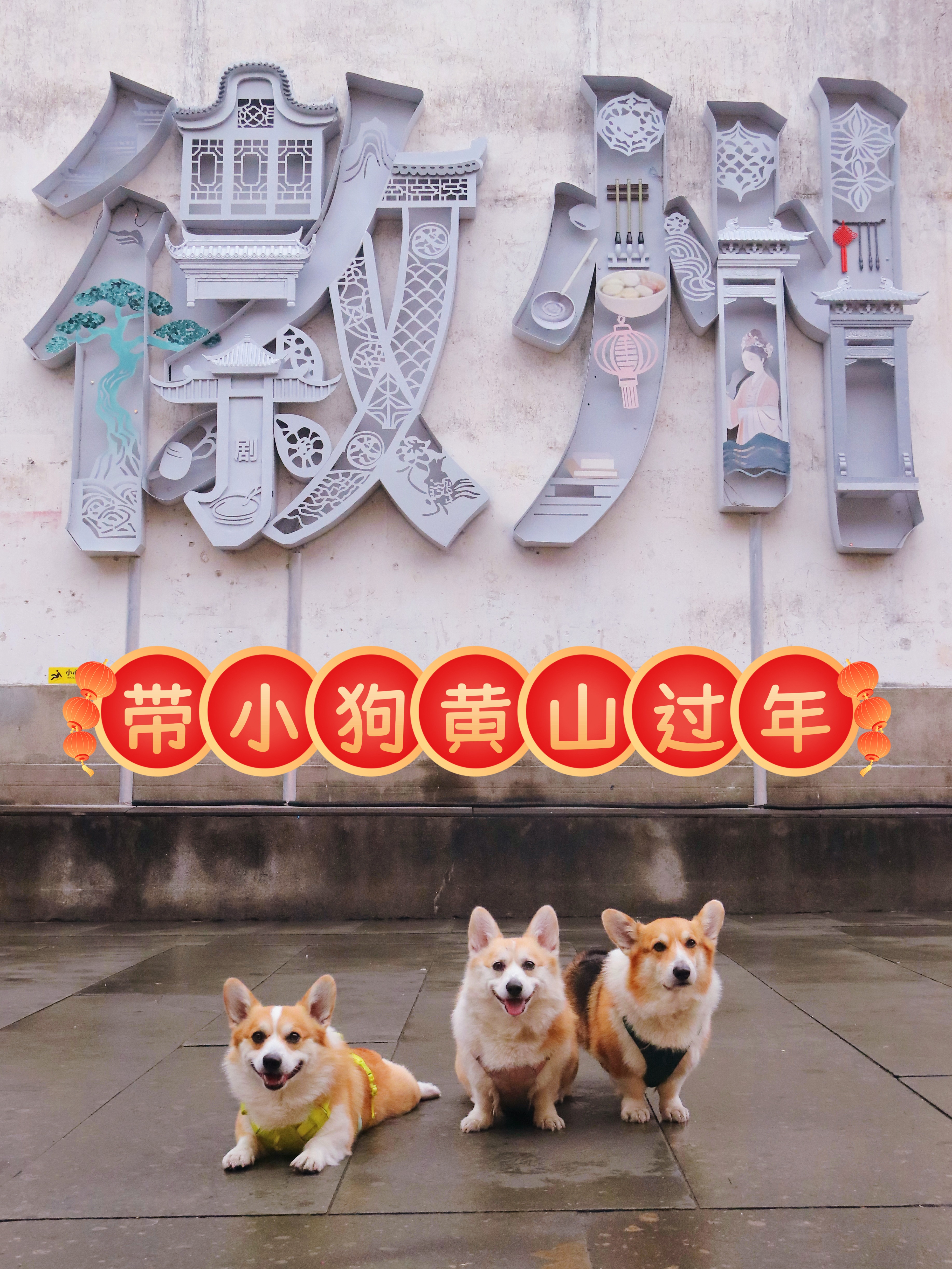 Vlog | 自驾带小狗去黄山过年