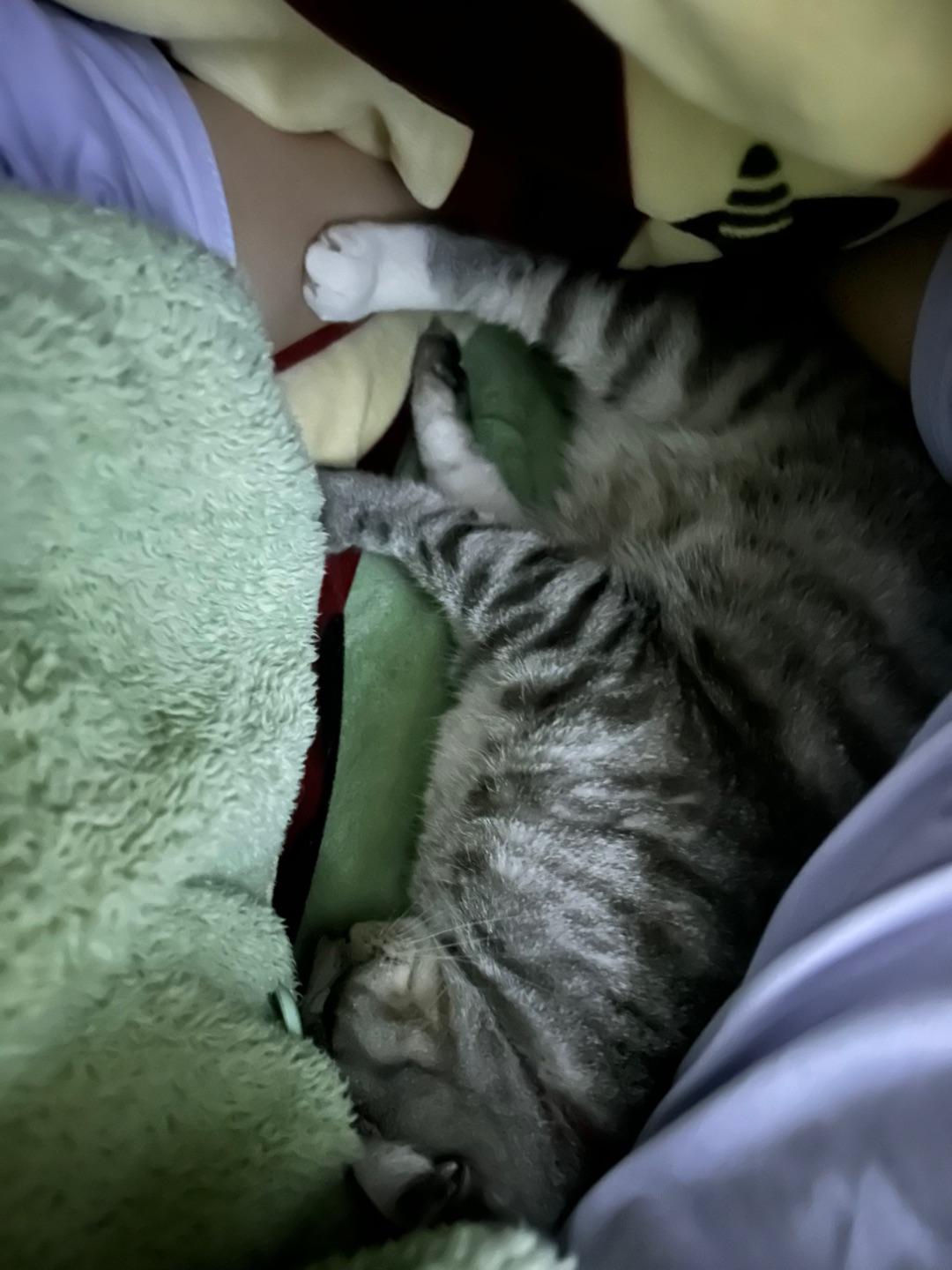 2.19 睡觉就睡觉 踢我干嘛