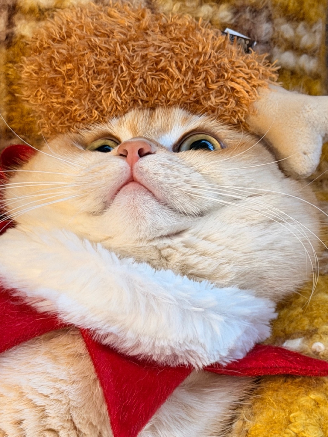 过年和鸡腿🍗最配啦🤩🤩🤩