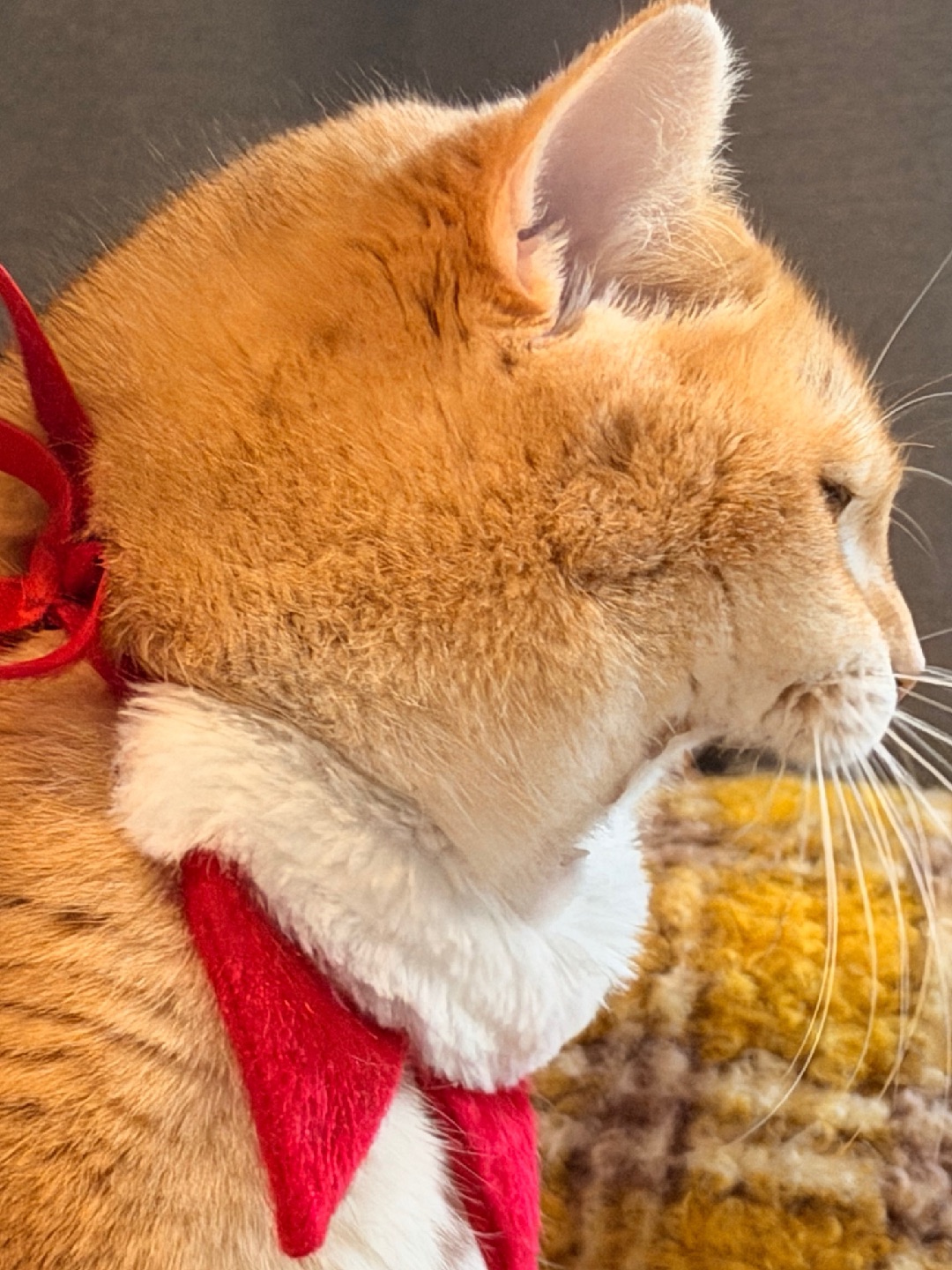 我要吃人啦～～