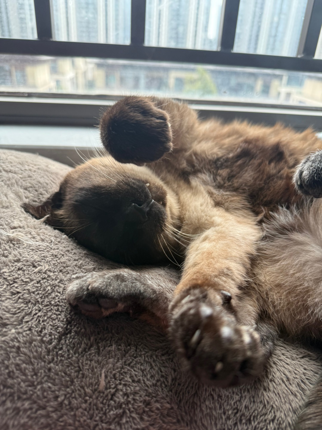 睡的乱七芭蕉的