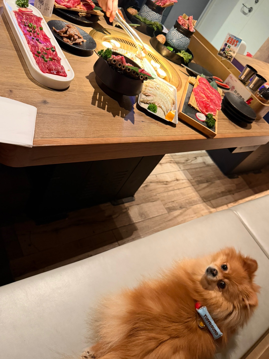 人，桌上的肉哪块是给我的