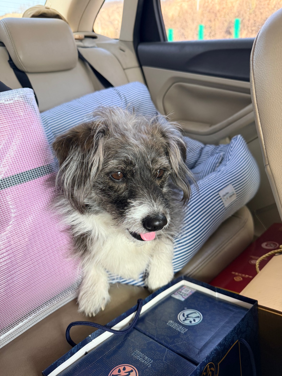 又是在路上的一天