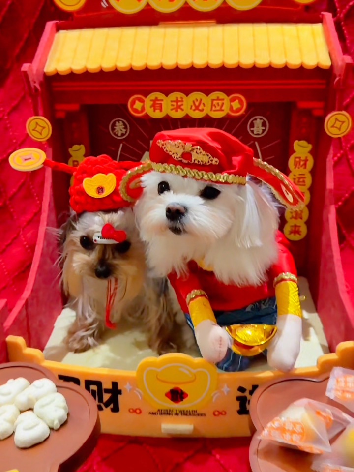 一代人有一代人的财神要摆🙏