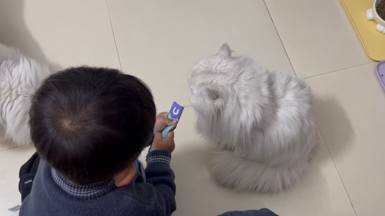 希希说每年回家过年，那个烟花也太多了[囧]