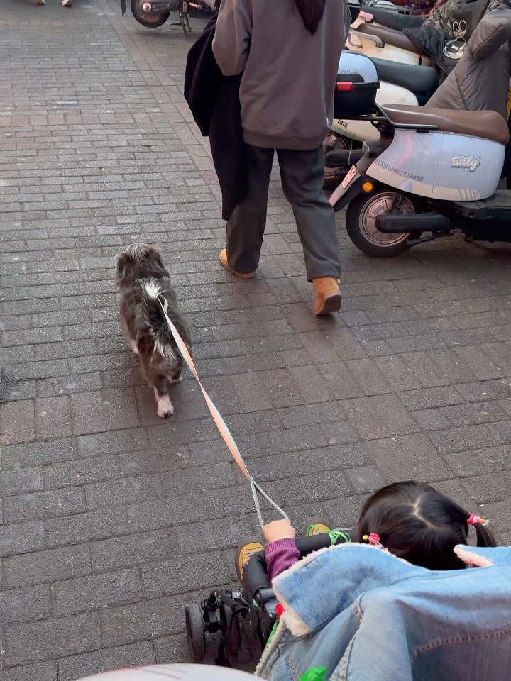 当上小“黑奴”了