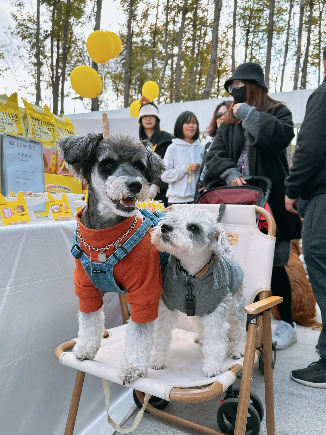 过年小斗有吃不完的肉肉✌🏻噢耶