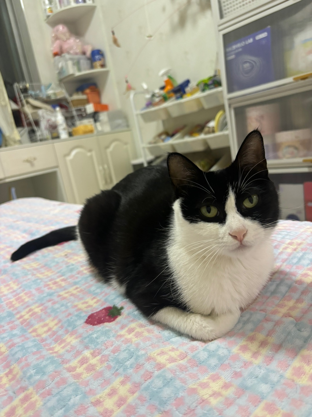 (^_^)ノHi~ o(*￣▽￣*)ブ(^o^)／(*´▽｀)ノノ