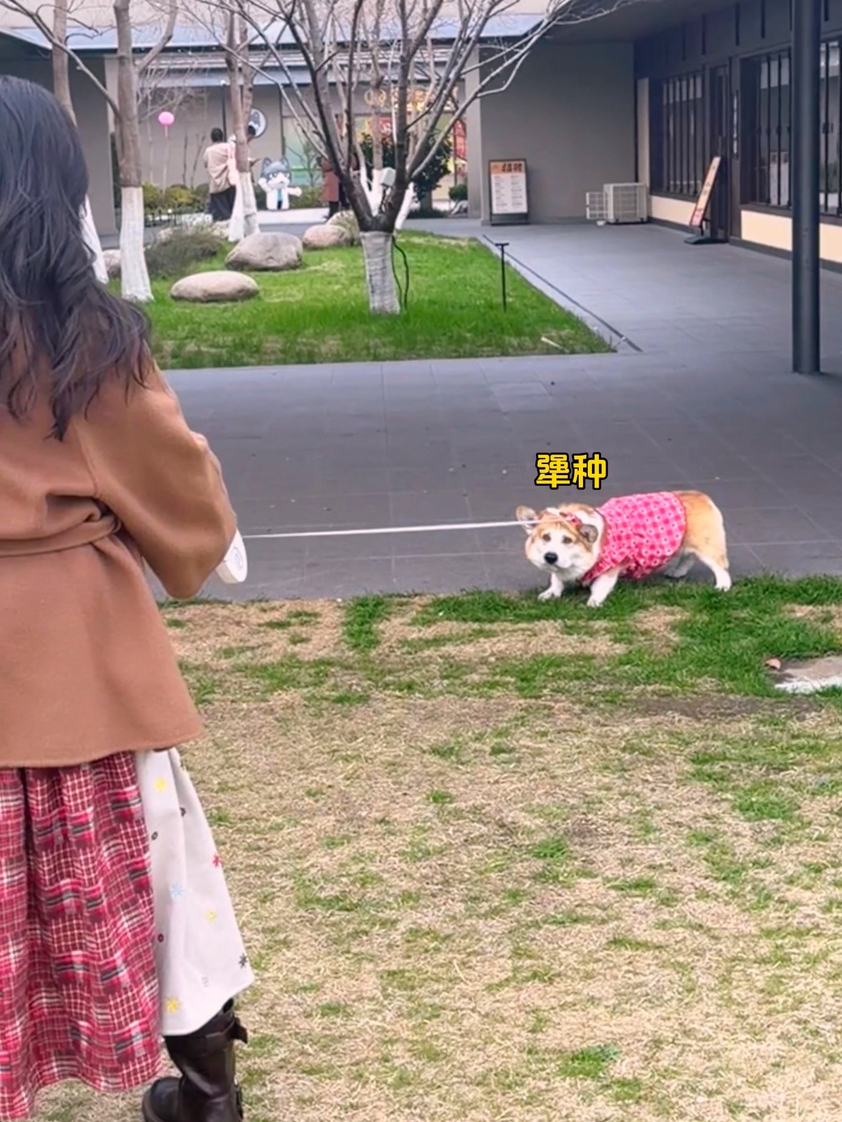 大过节的别逼我揍你哦！