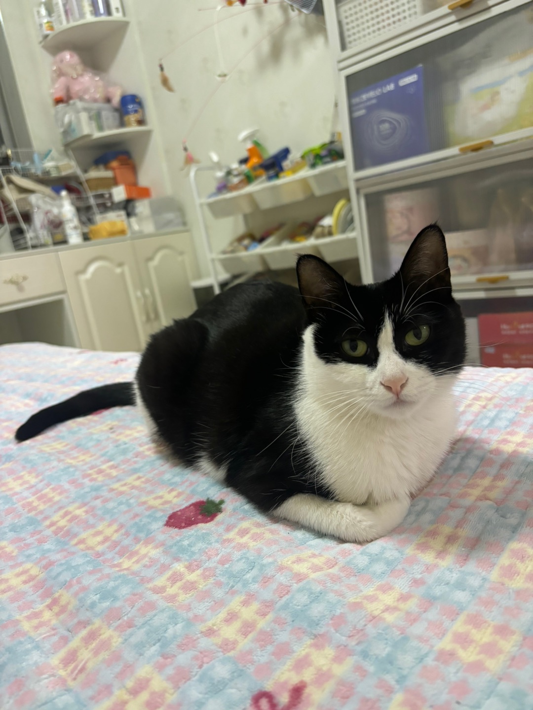 (^_^)ノHi~ o(*￣▽￣*)ブ(^o^)／(*´▽｀)ノノ