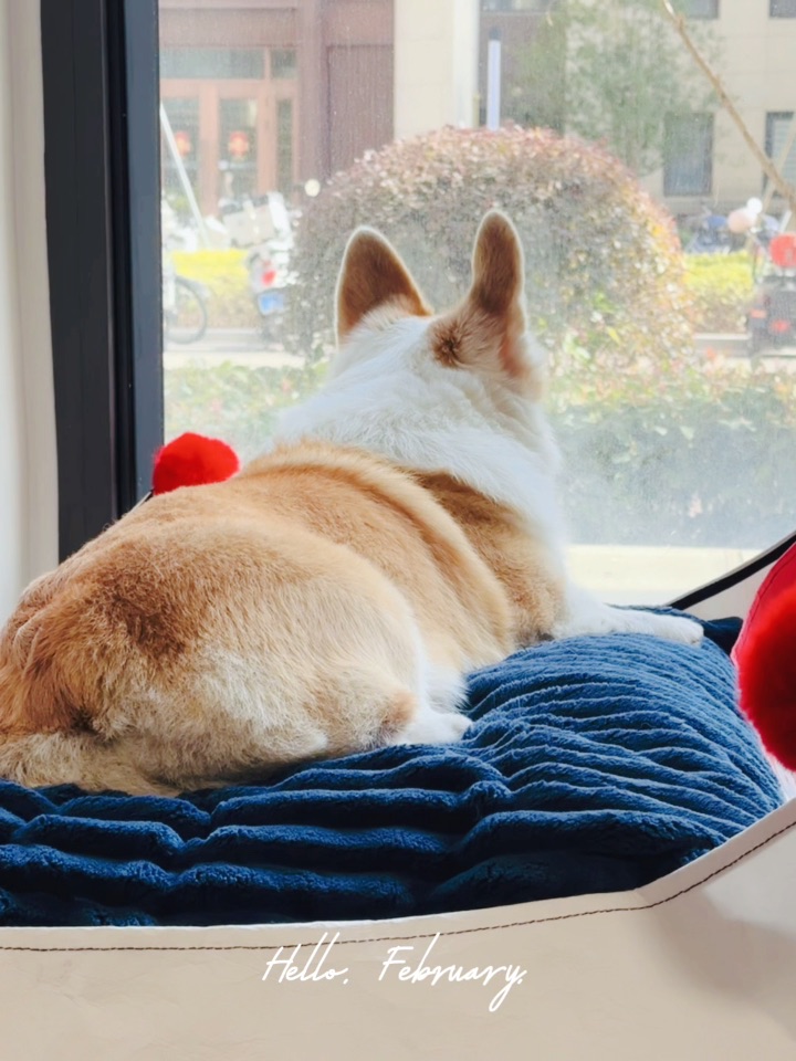 最喜欢二🈷️了