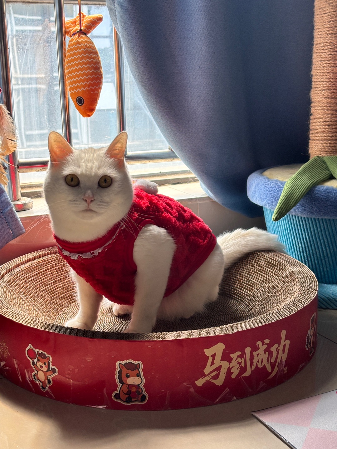 红红火火过大年