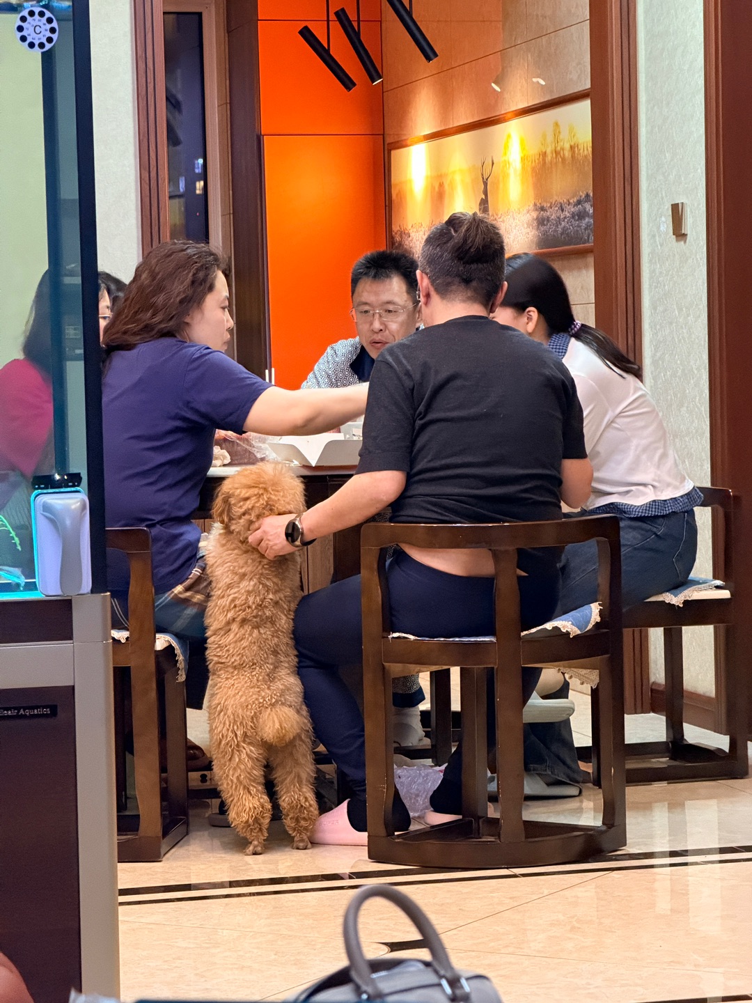 这就是过年的意义