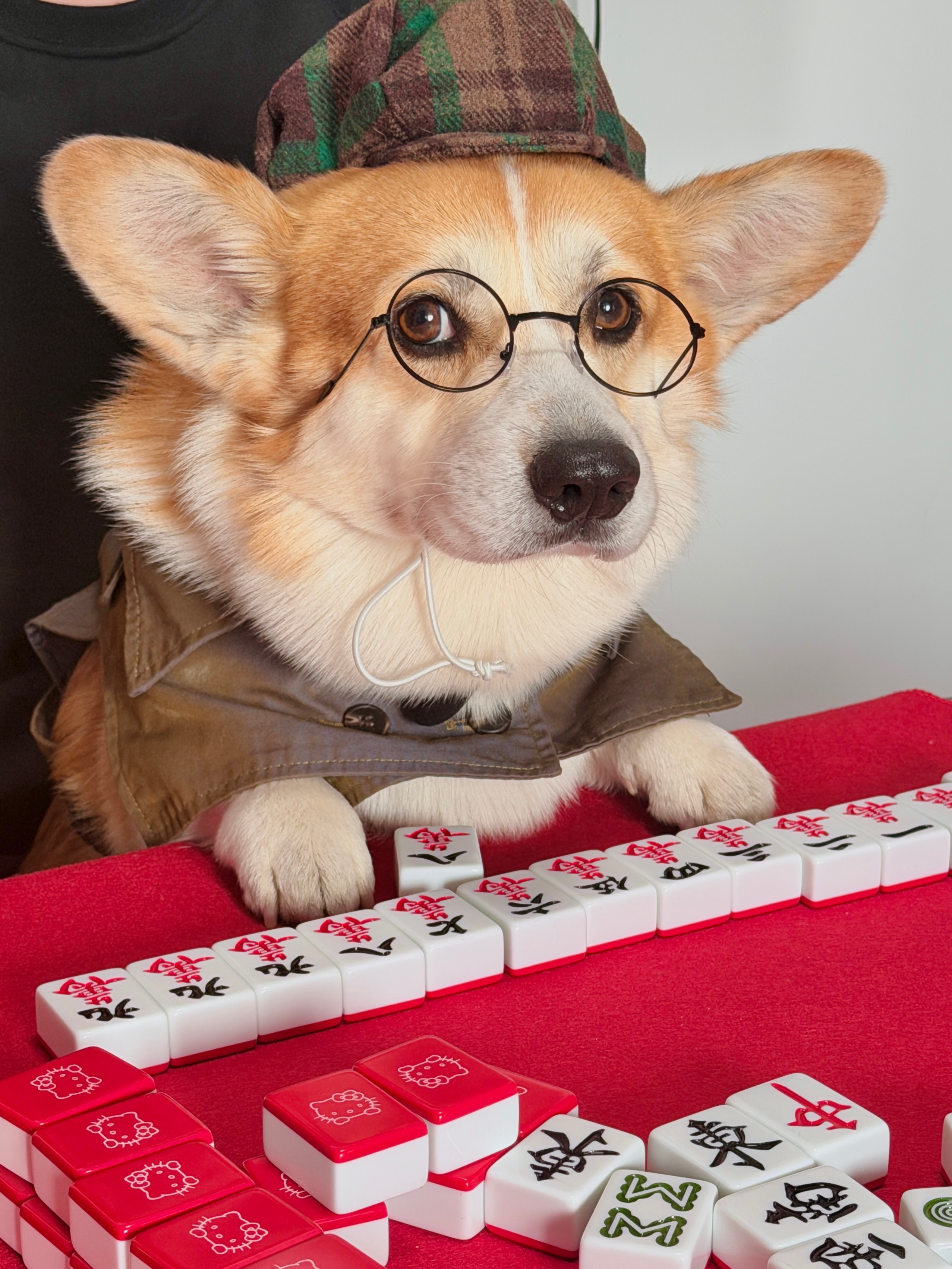 不好意思 我清一色杠上开花🀄️