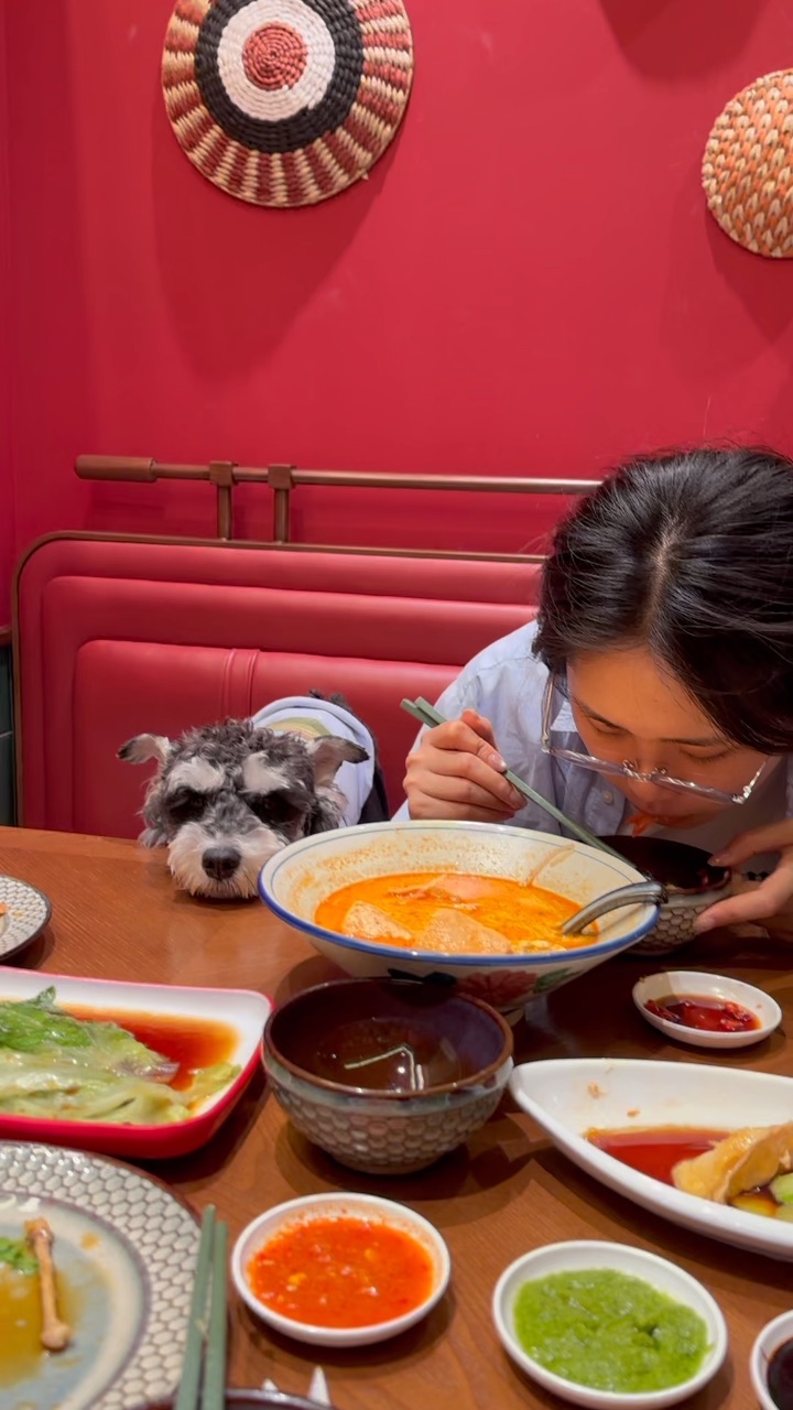 不是说带我出来吃饭