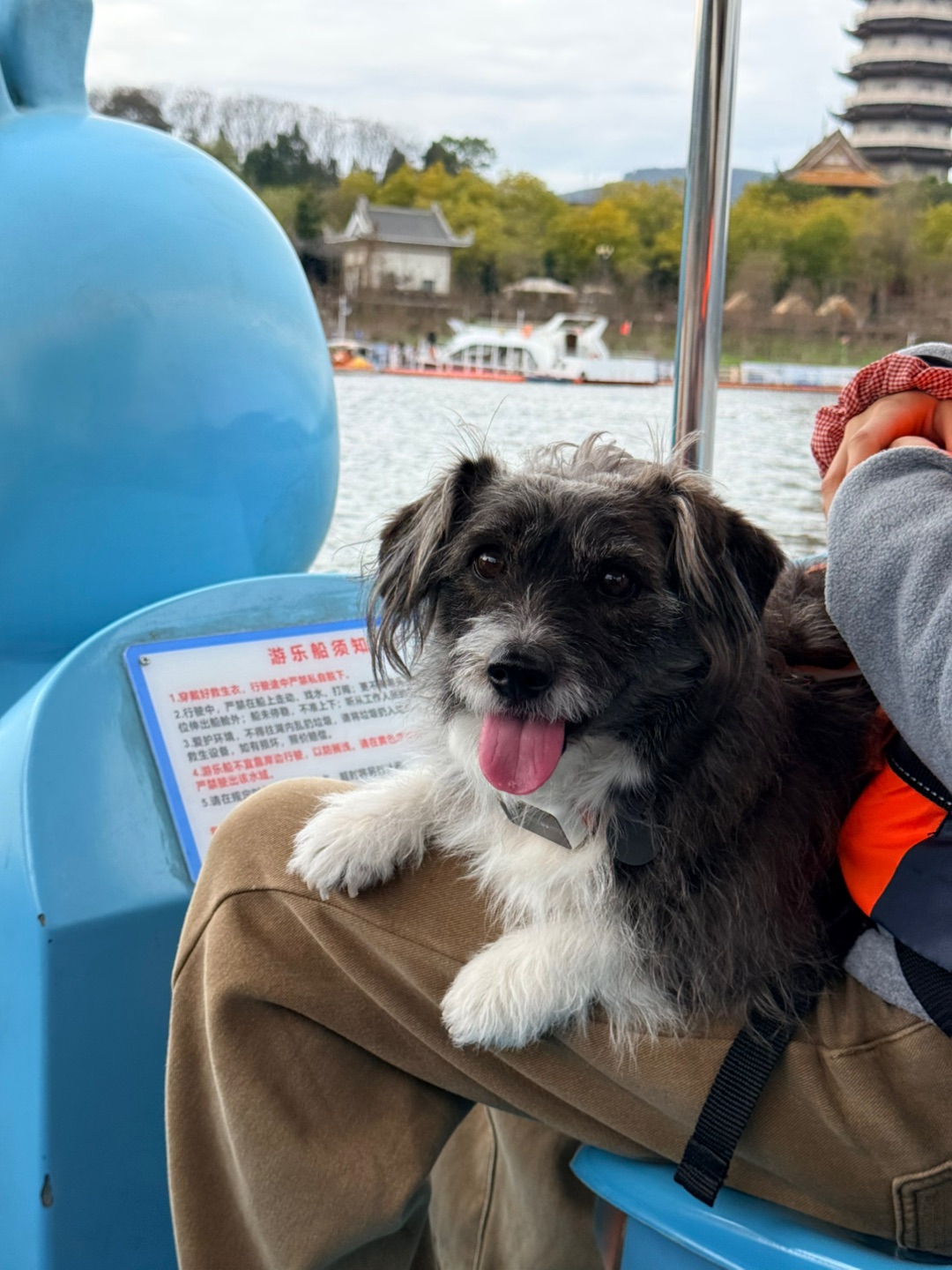 白天游湖晚上玩沙