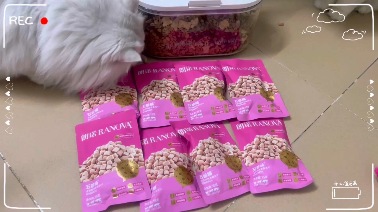 又是加餐的一天