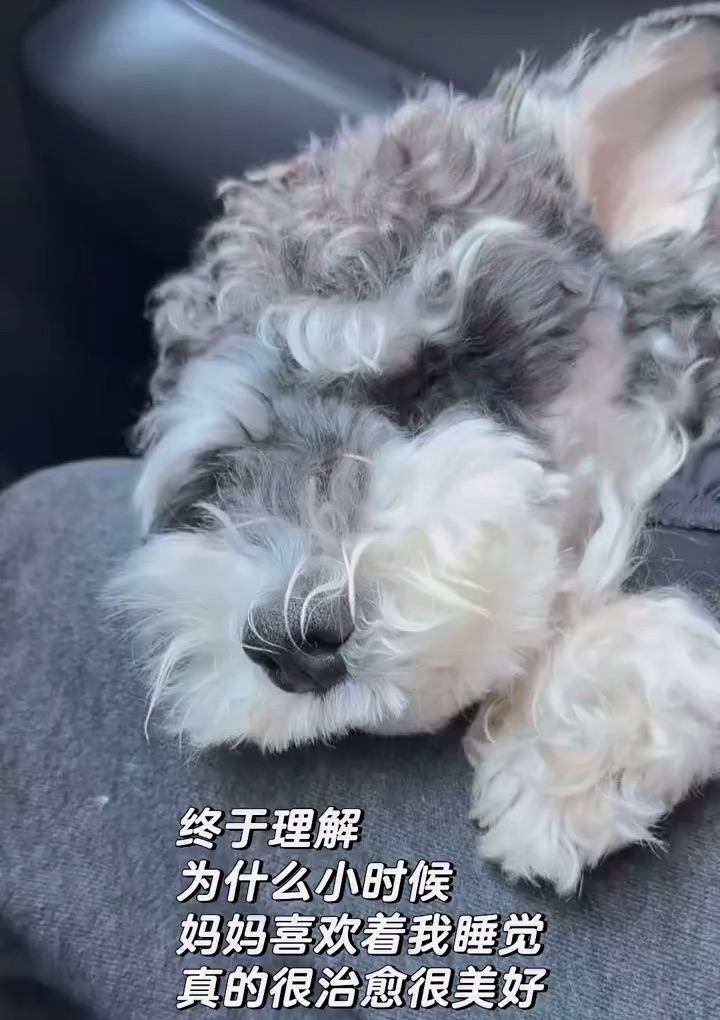 理解妈妈成为妈妈