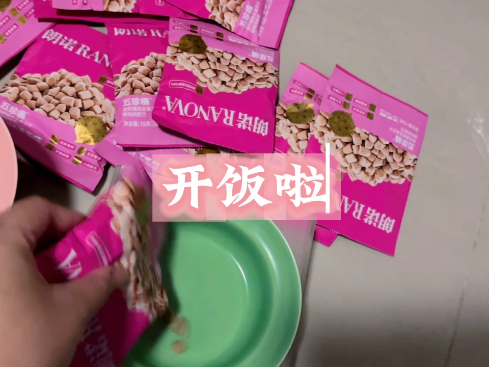 小猫咪开饭啦24