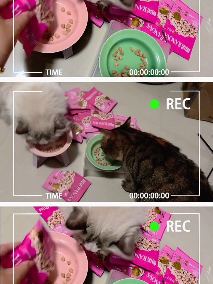 吃饭香香身体棒棒25