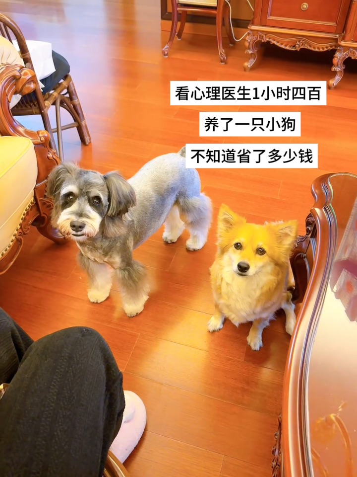 让我们一起谢谢小斗🥰