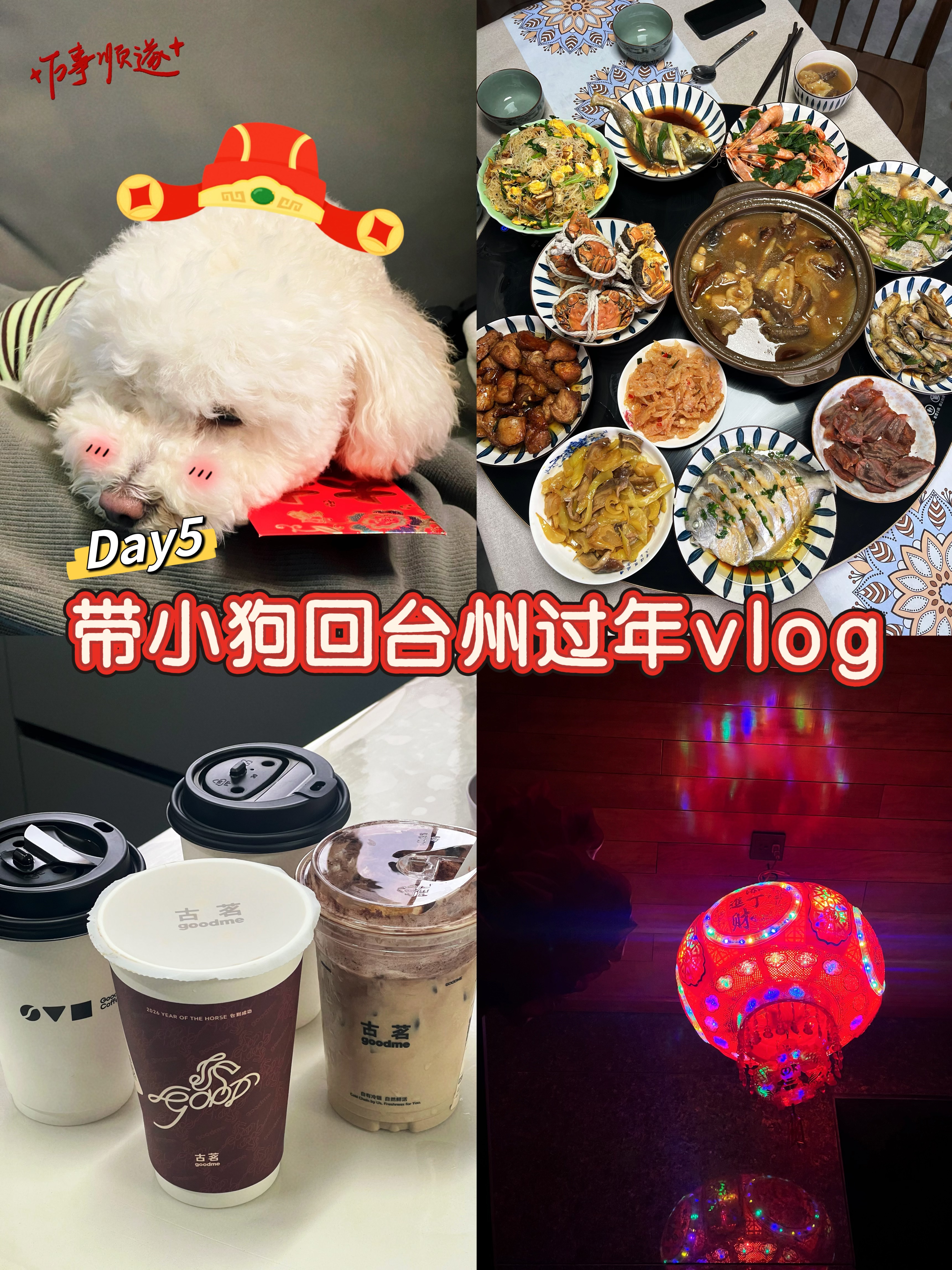 Vlog带小狗回台州过年-Day5除夕夜下集