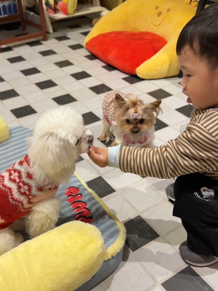 老大给我们加餐啦