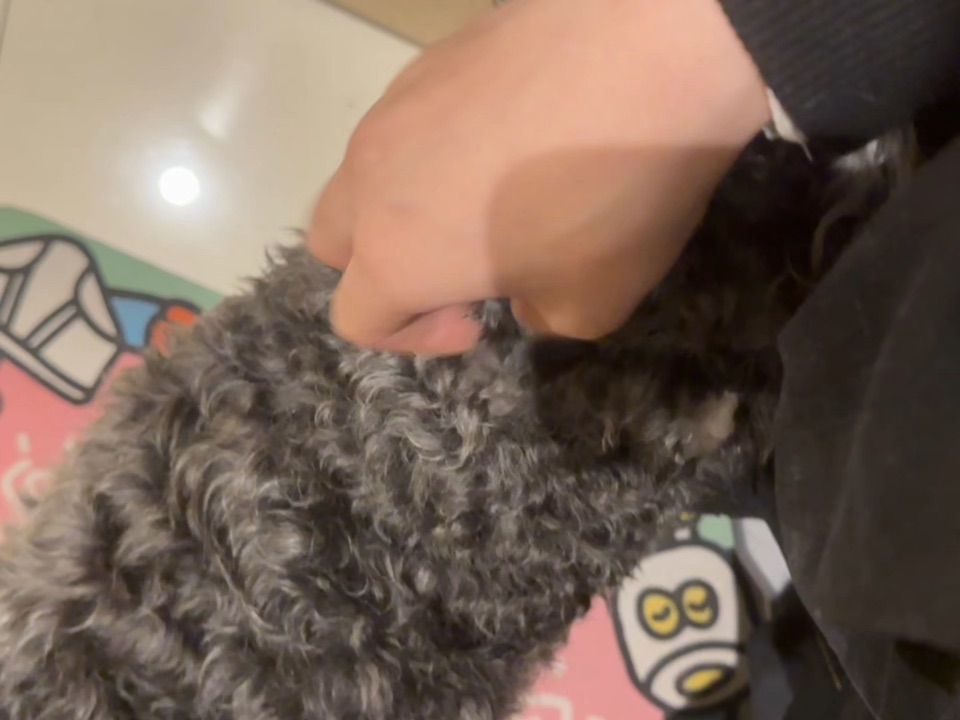 当你鬼混五天回来