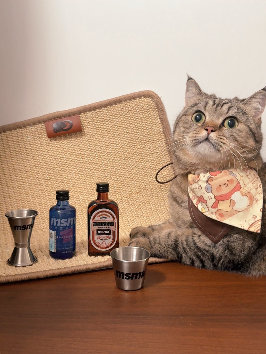 小猫也要微醺🍷一下