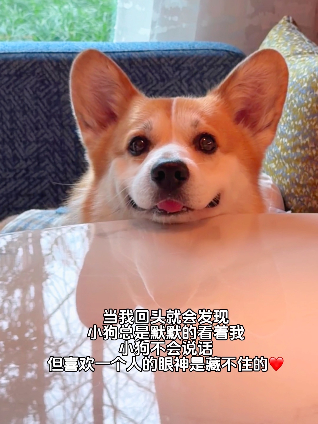 仿佛只需静静看我一眼