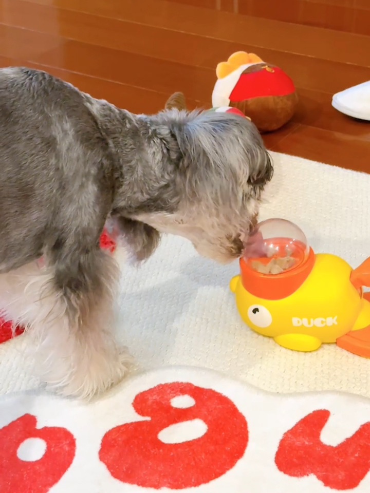 Exm 这东西是这么用的吗？？