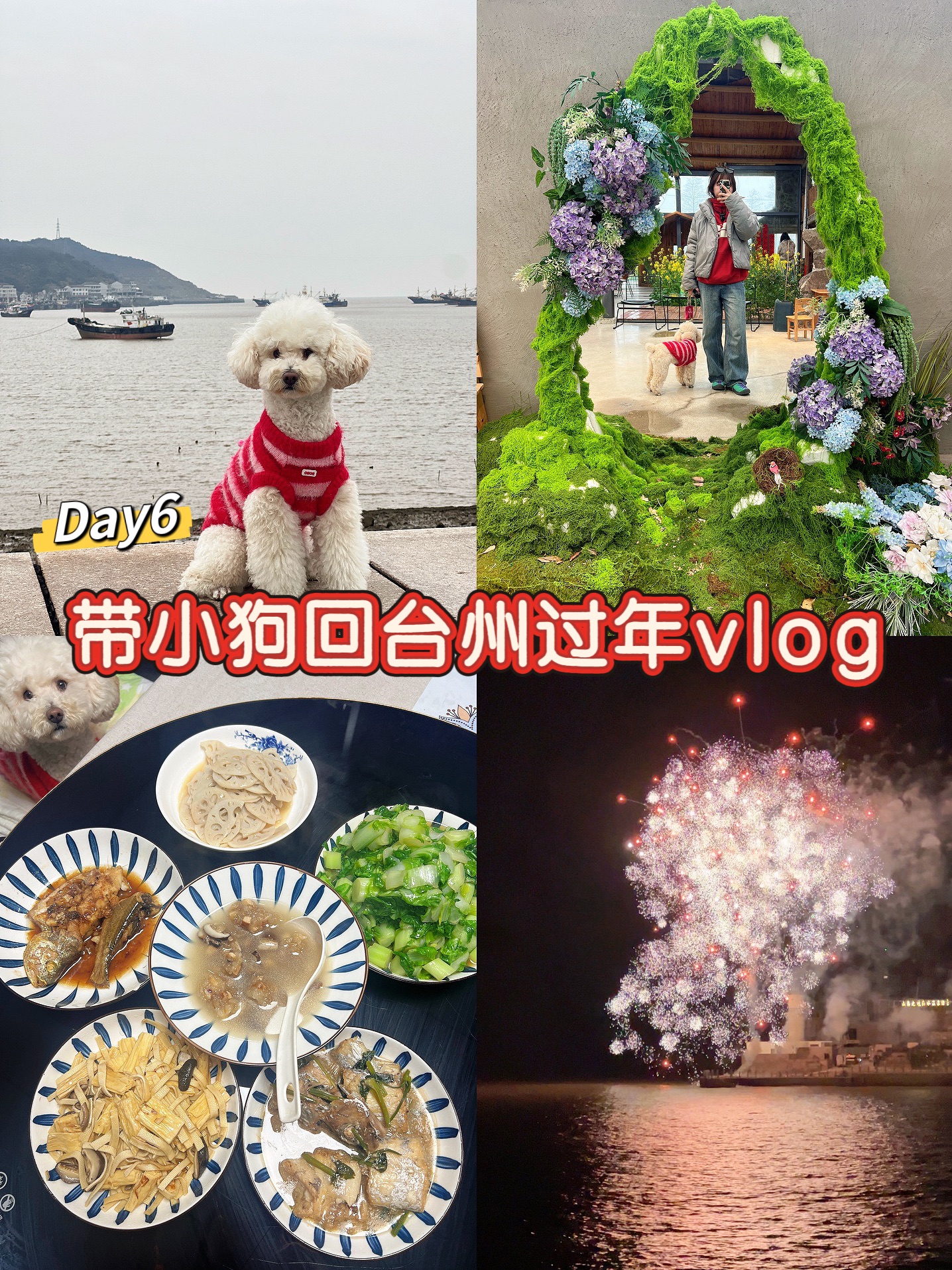 Vlog带小狗回台州过年-Day6大年初一