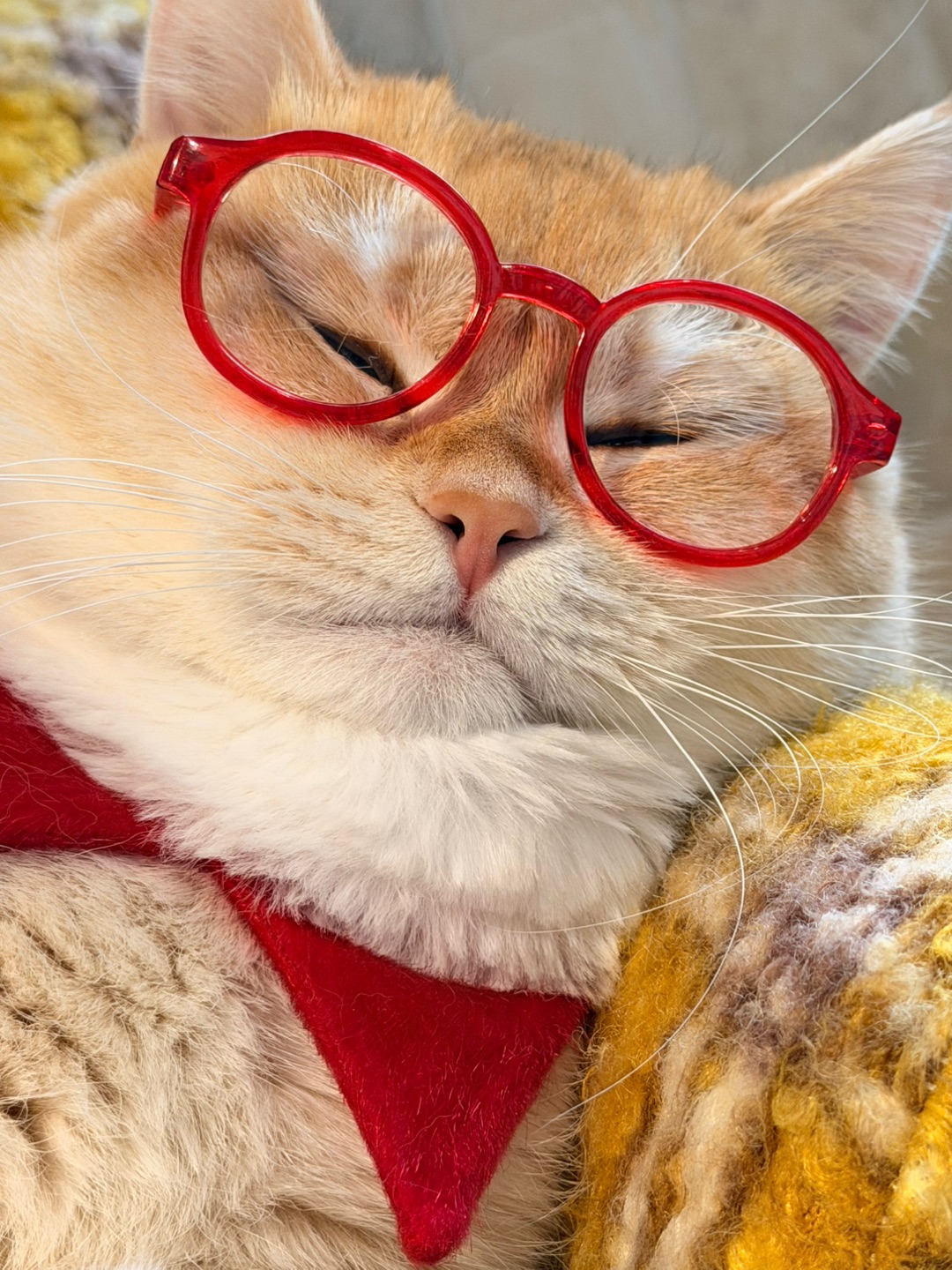 还在过年的余温中…….