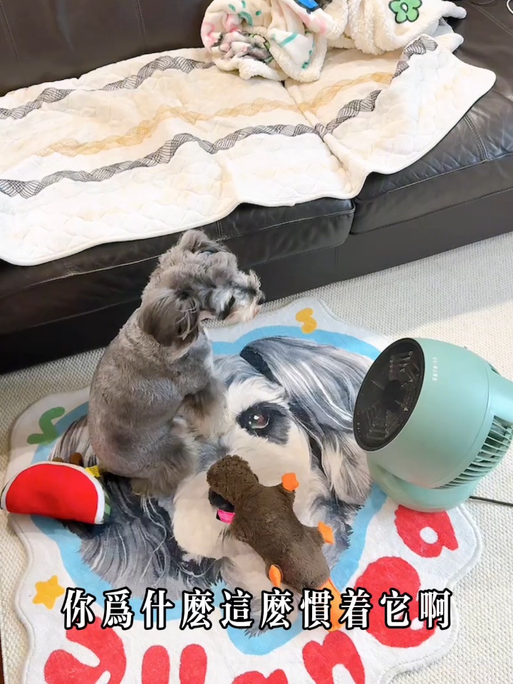 小狗孩也知道暖暖的很舒服