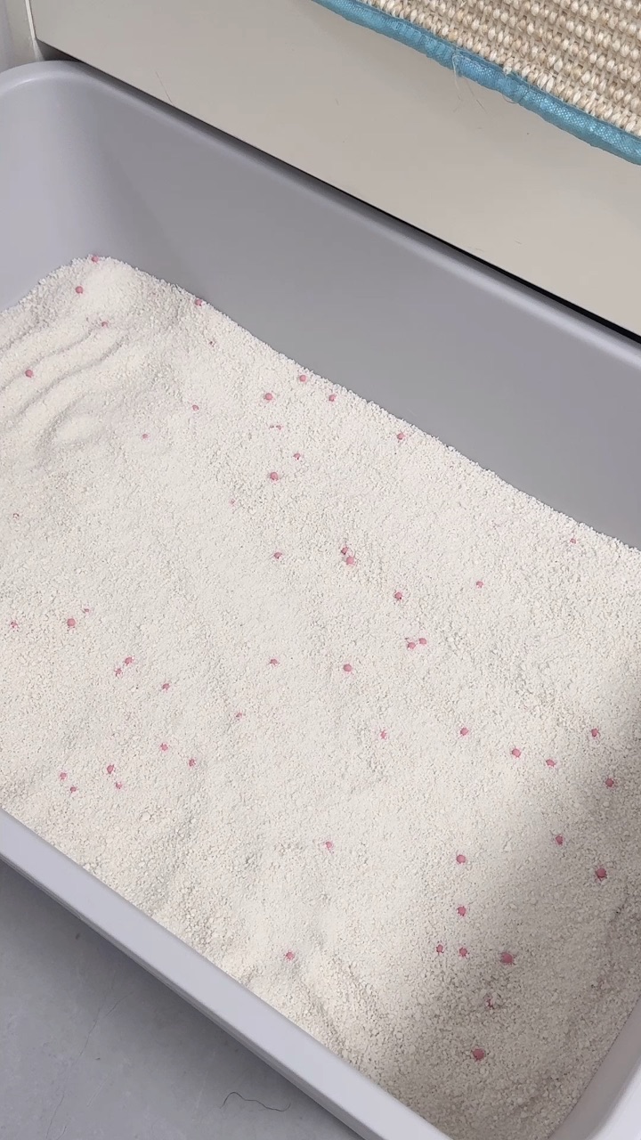 一只小猫咪在巷口迷路了，它缩成一团，不敢出声。 路过的人匆匆走过，没人停下。直到一个小女孩蹲下来，把温热的牛奶推到它面前。