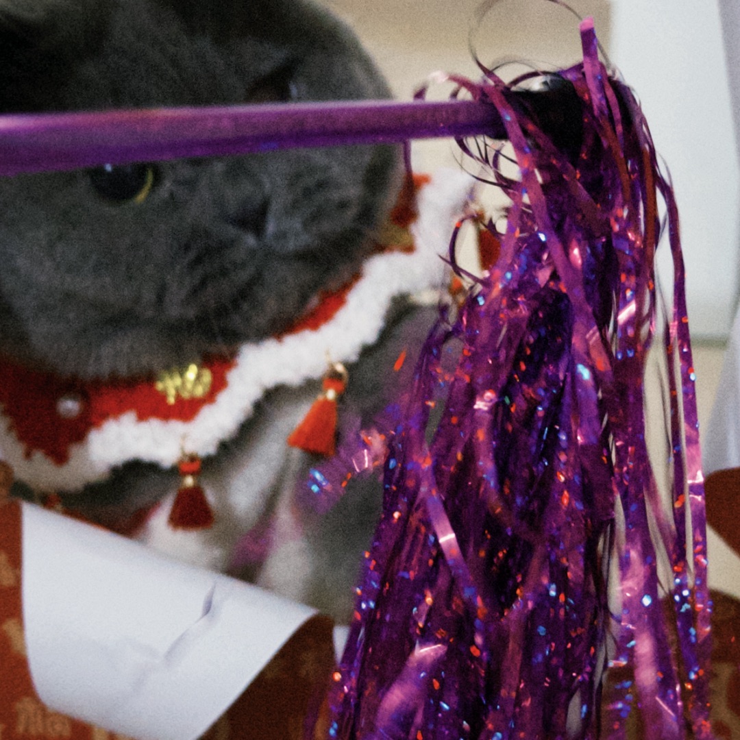 📸胶片感年味，皮皮限定