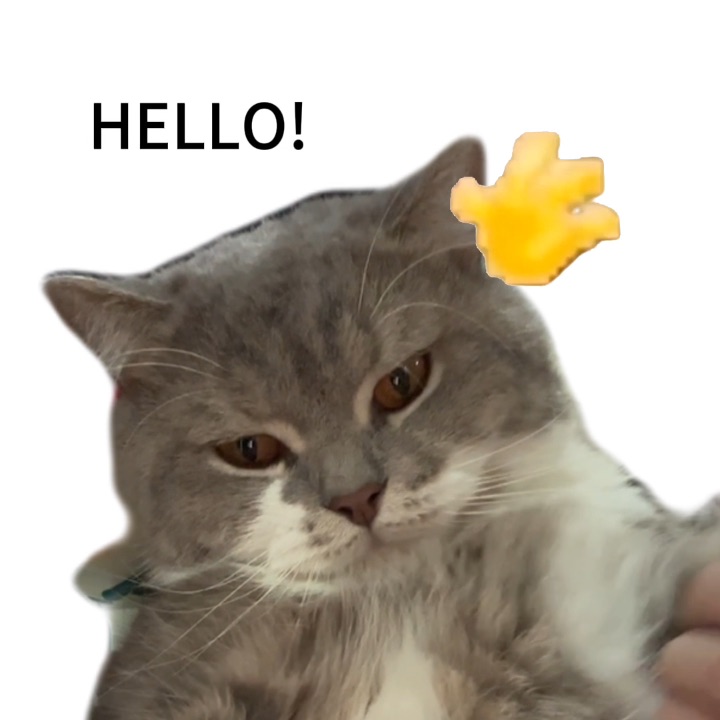 hello～可爱迷人的我出现了