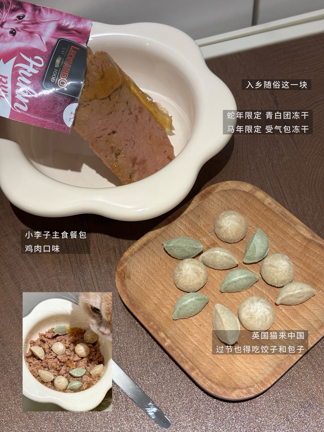 英国猫来我们中国过节也要吃饺子和包子
