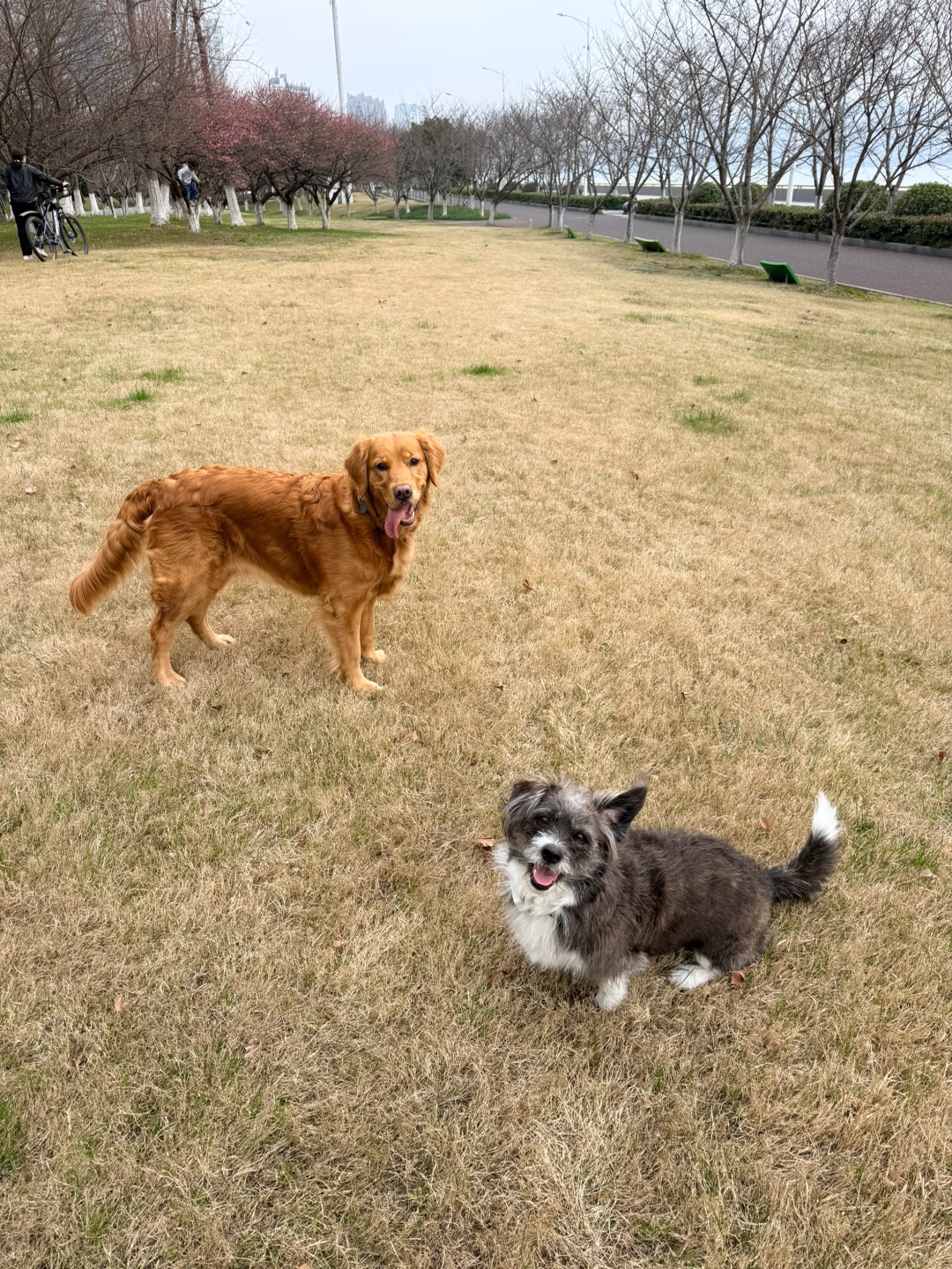 一回杭州就去找好朋友啦