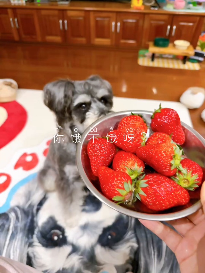 江浙沪独子草莓🍓都是整个吃的