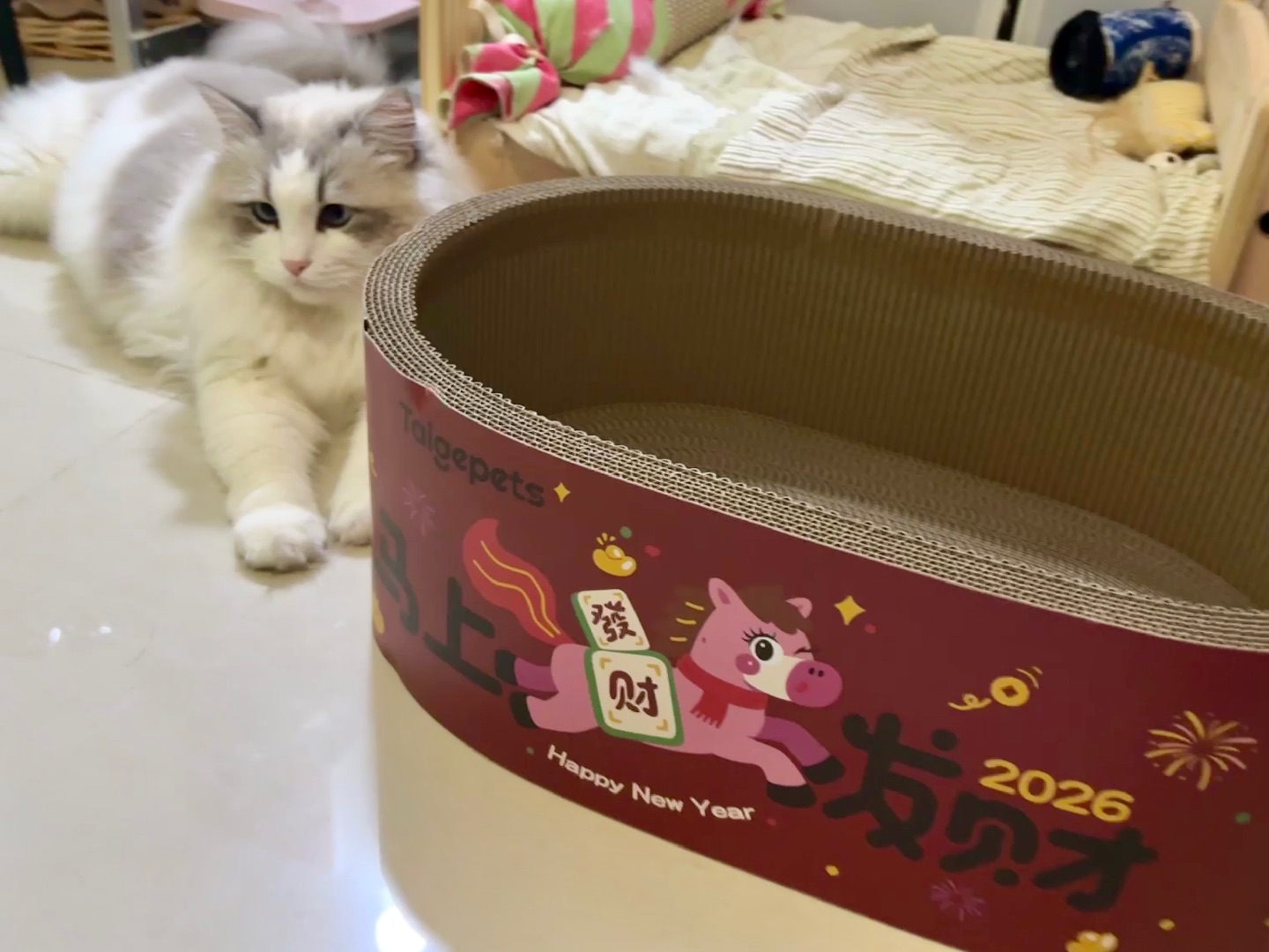 泰格猫爪板洗脸盆猫窝测评