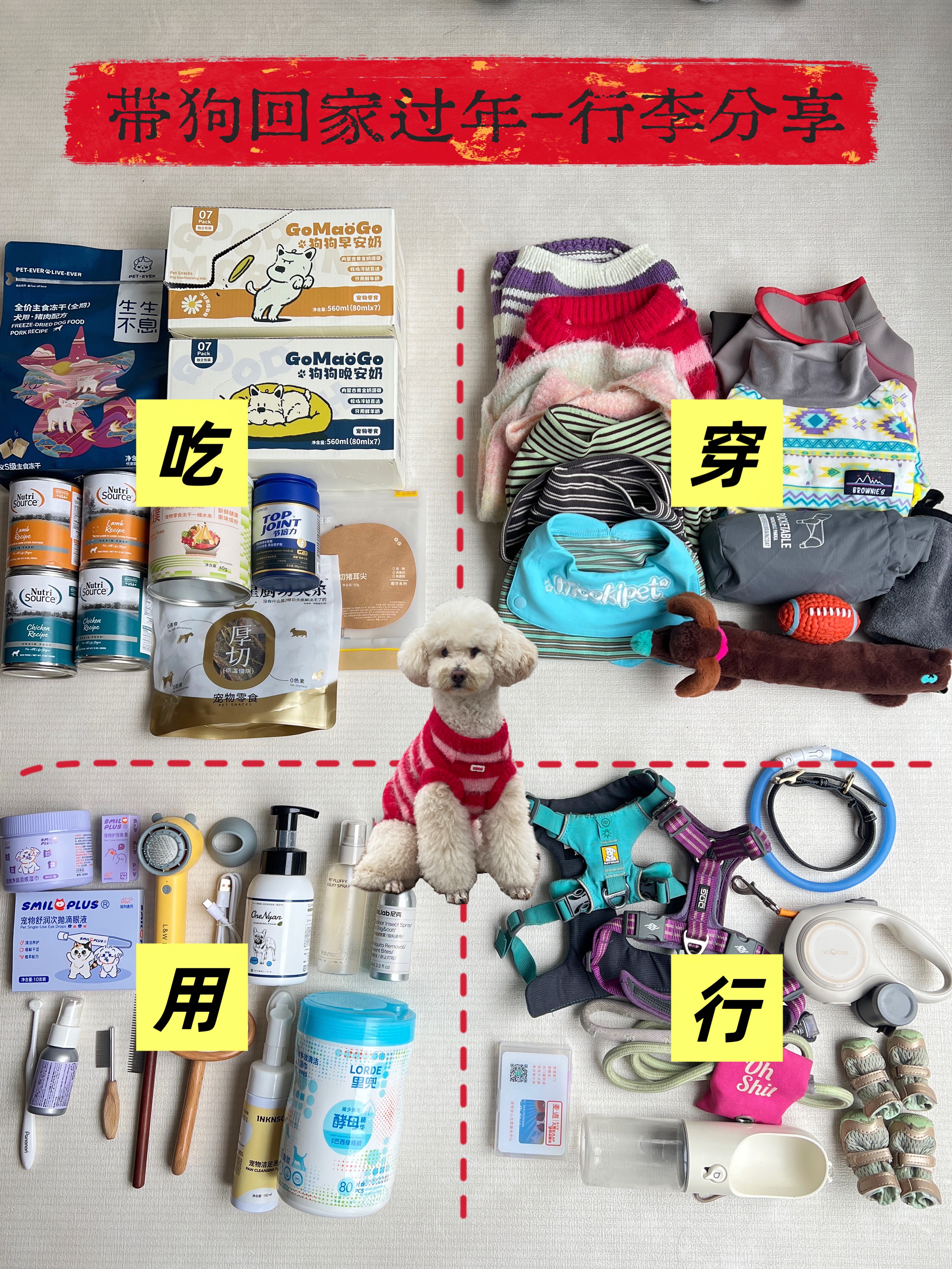 沪狗回村过年的10天行李分享🧳