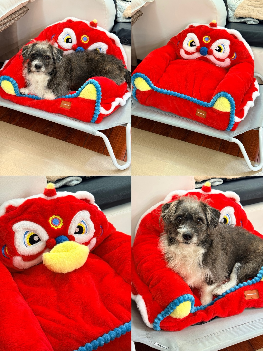 新年换新窝🛏️