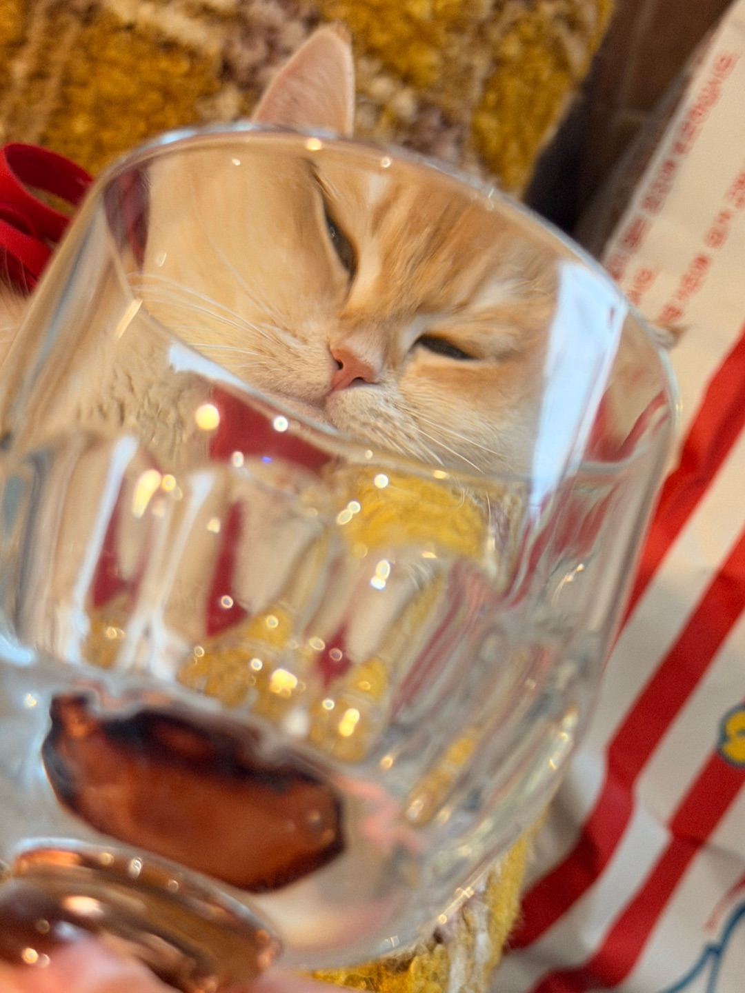 这可是元宵节的“派对邀请” 🍻哟～