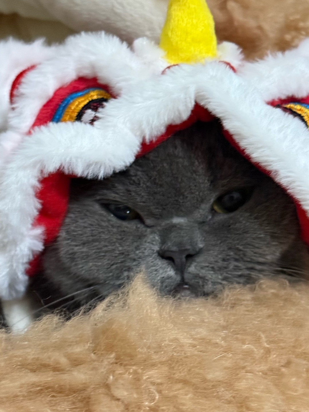 😴皮皮：醒狮服封印了本喵