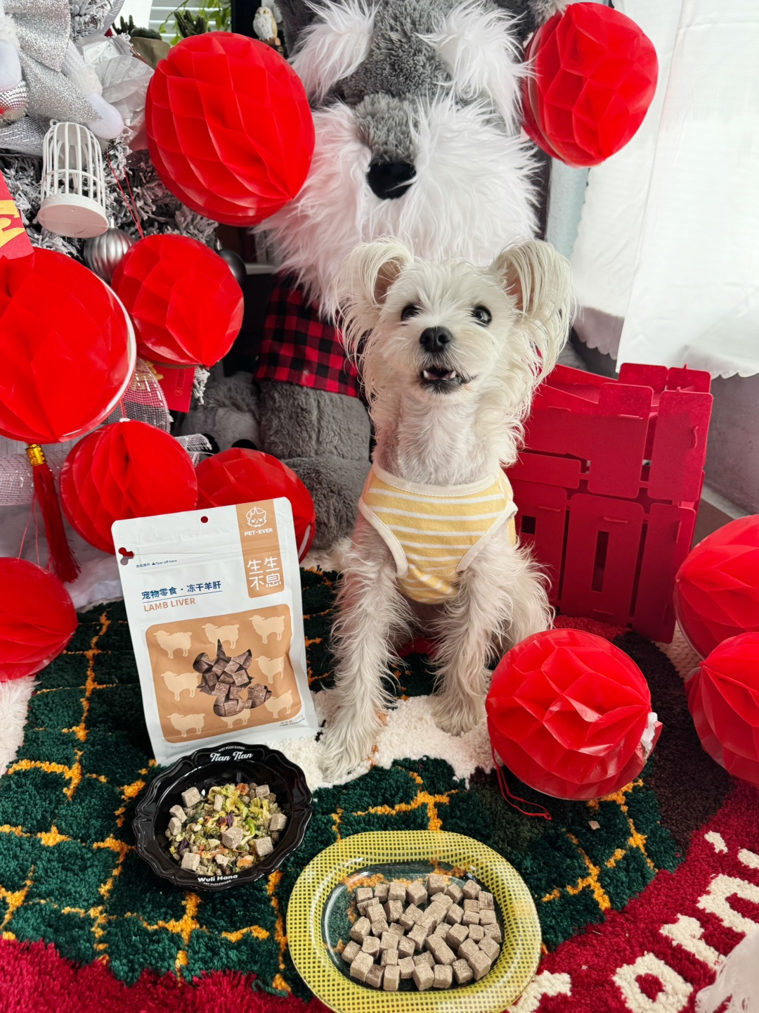 🐾让毛孩秒变干饭王的宝藏零食！营养与美味双暴击！🐶💖