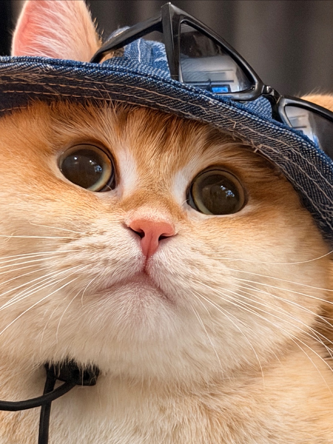 我不管！元宵节我就是也要穿新衣服❗️