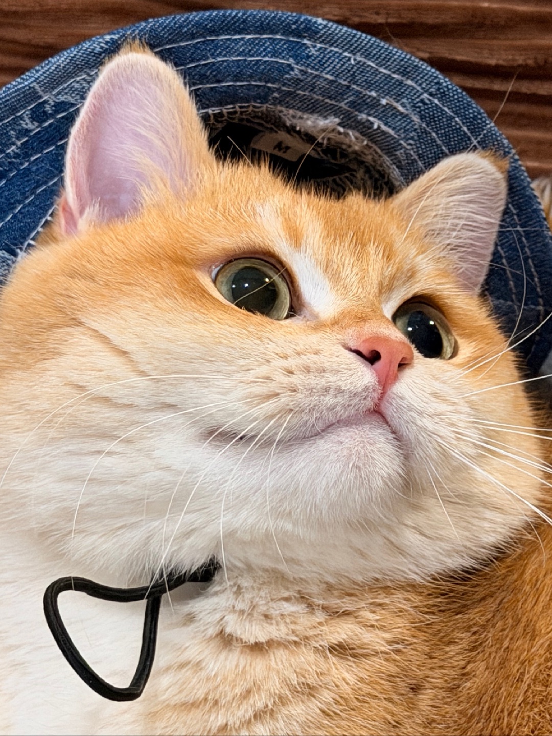 麻麻，我想去粗去玩～ 粗去玩